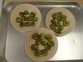 園庭の菜園が出来上がるまで屋上菜園で野菜作り